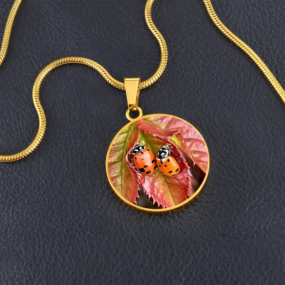 ShineOn Fulfillment Jewelry Personalized Ladybug Photo Art, Custom Pendant with Luxury Necklace - Personalized Engraving Available, Gift Box Included, Free Shipping