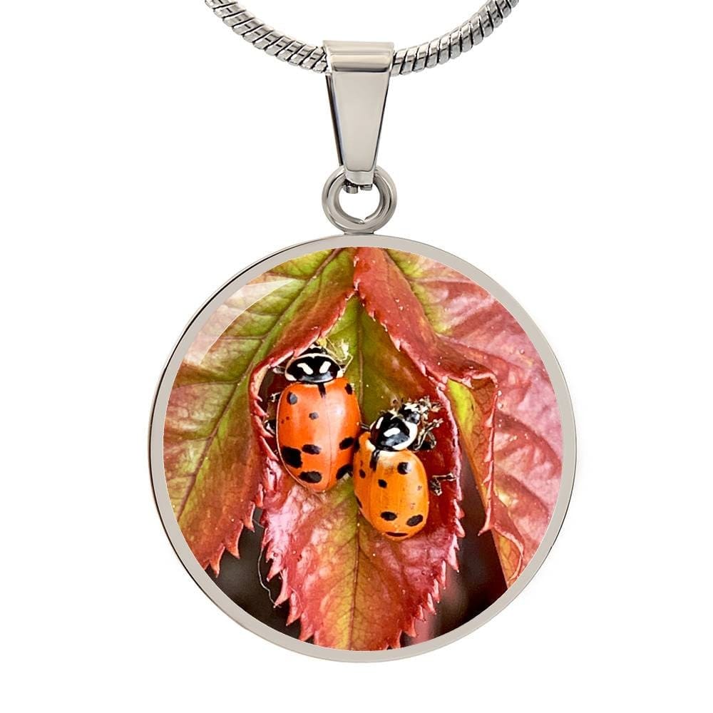 ShineOn Fulfillment Jewelry Personalized Ladybug Photo Art, Custom Pendant with Luxury Necklace - Personalized Engraving Available, Gift Box Included, Free Shipping